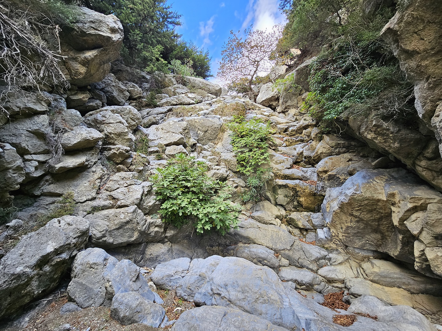 kotsifou-gorge1.jpg