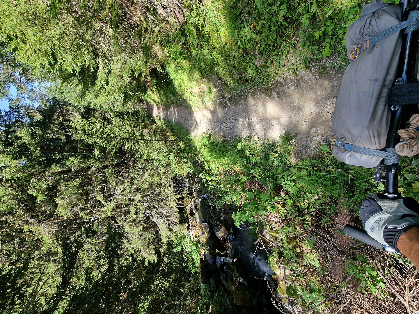 laplagne-trail7.jpg
