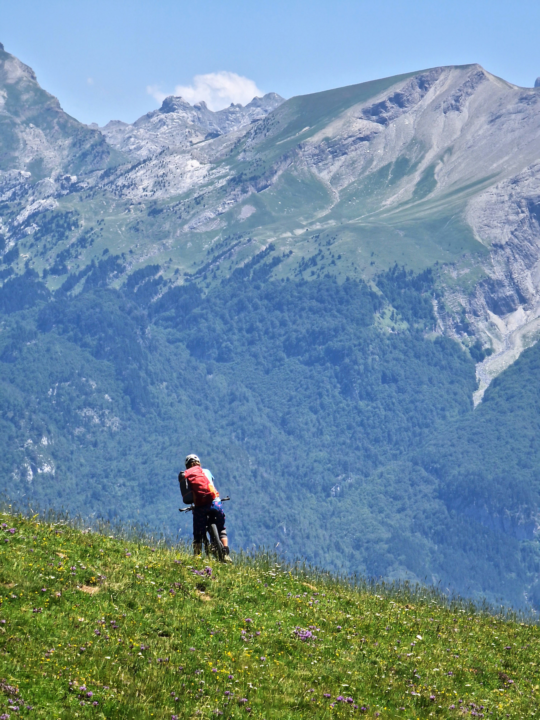 larrondoa-trail3.jpg