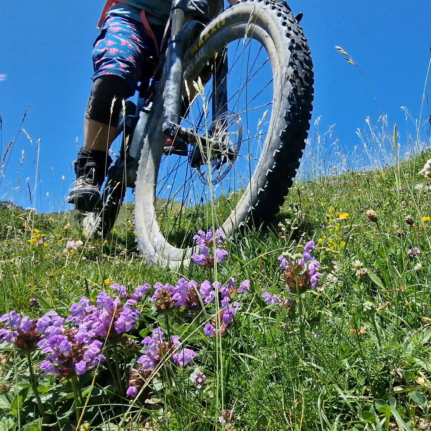 larrondoa-trail5.jpg