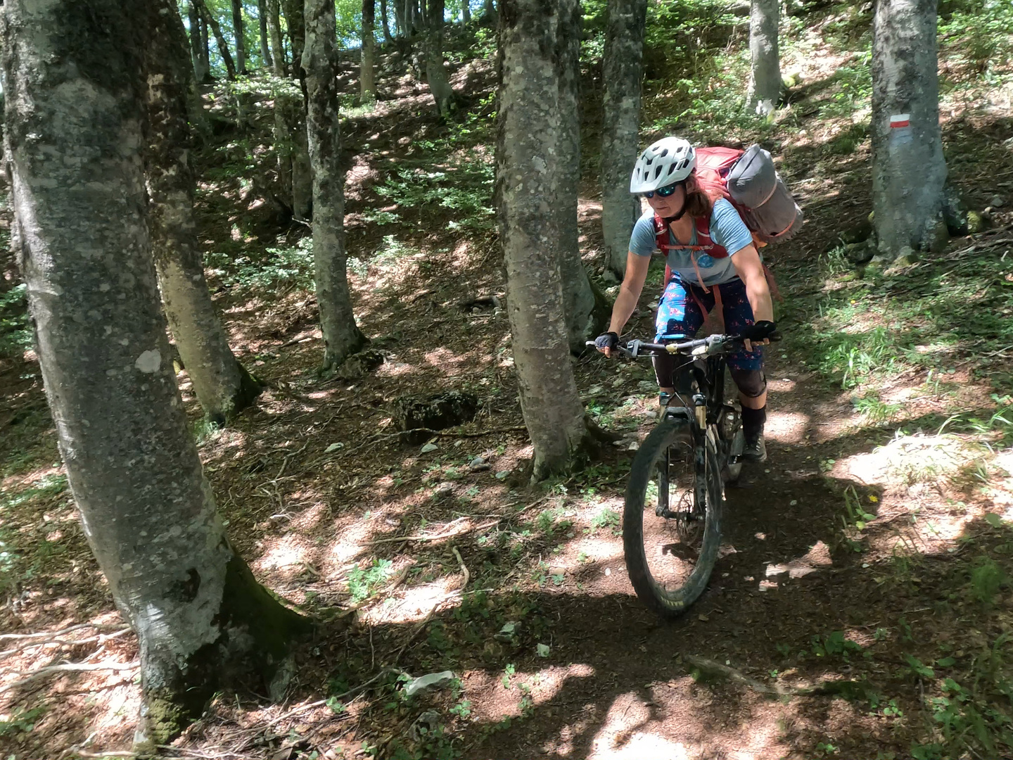 larrondoa-trail6.jpg