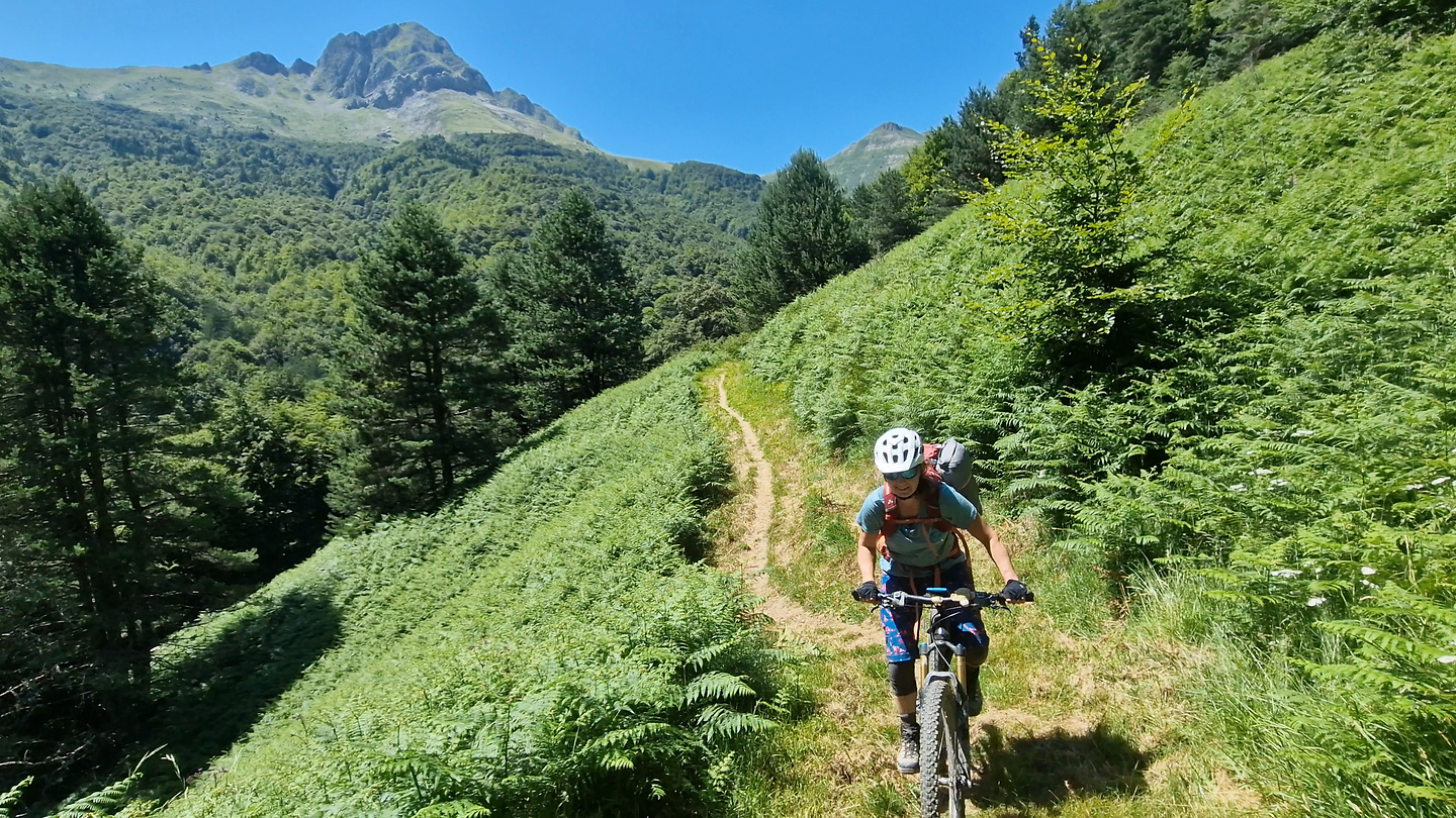 larrondoa-trail7.jpg