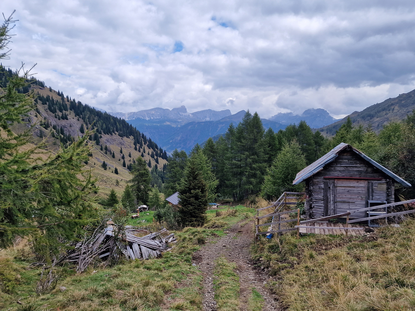 laste-trail4.jpg