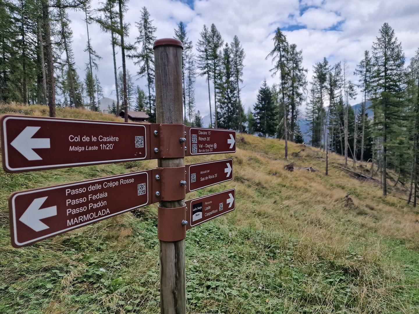 laste-trail7.jpg