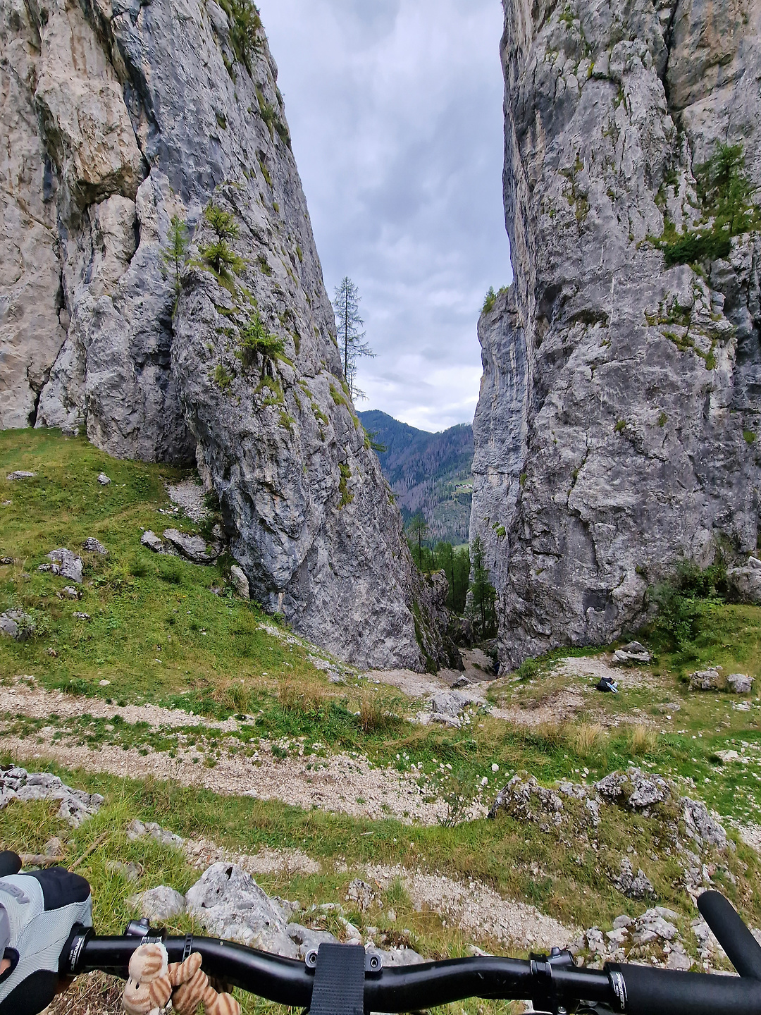 laste-trail8.jpg