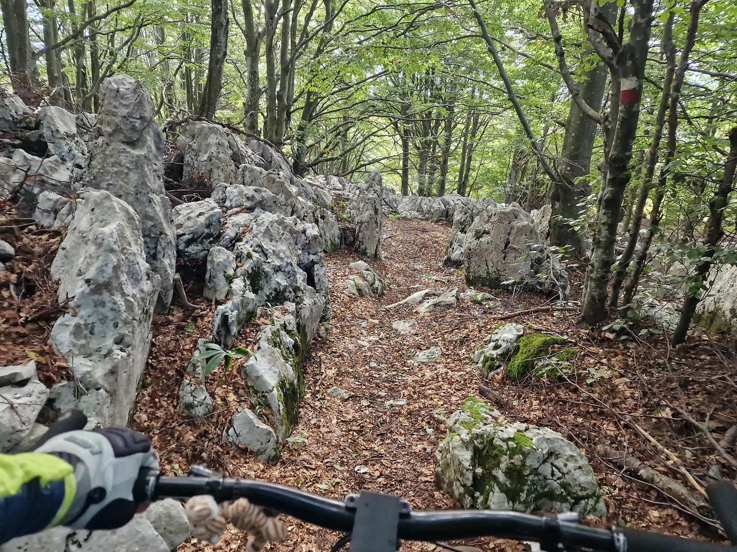 matajur-trail3.jpg