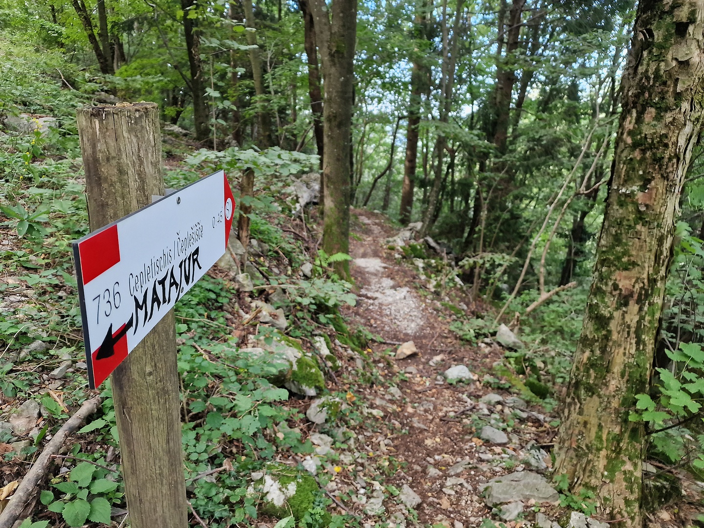 matajur-trail5.jpg