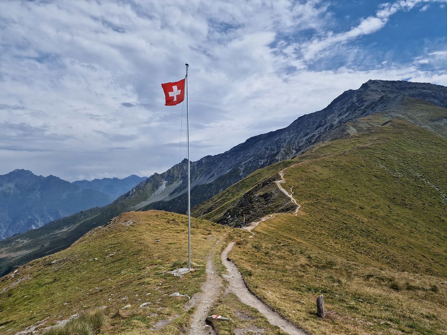 mille-col3.jpg
