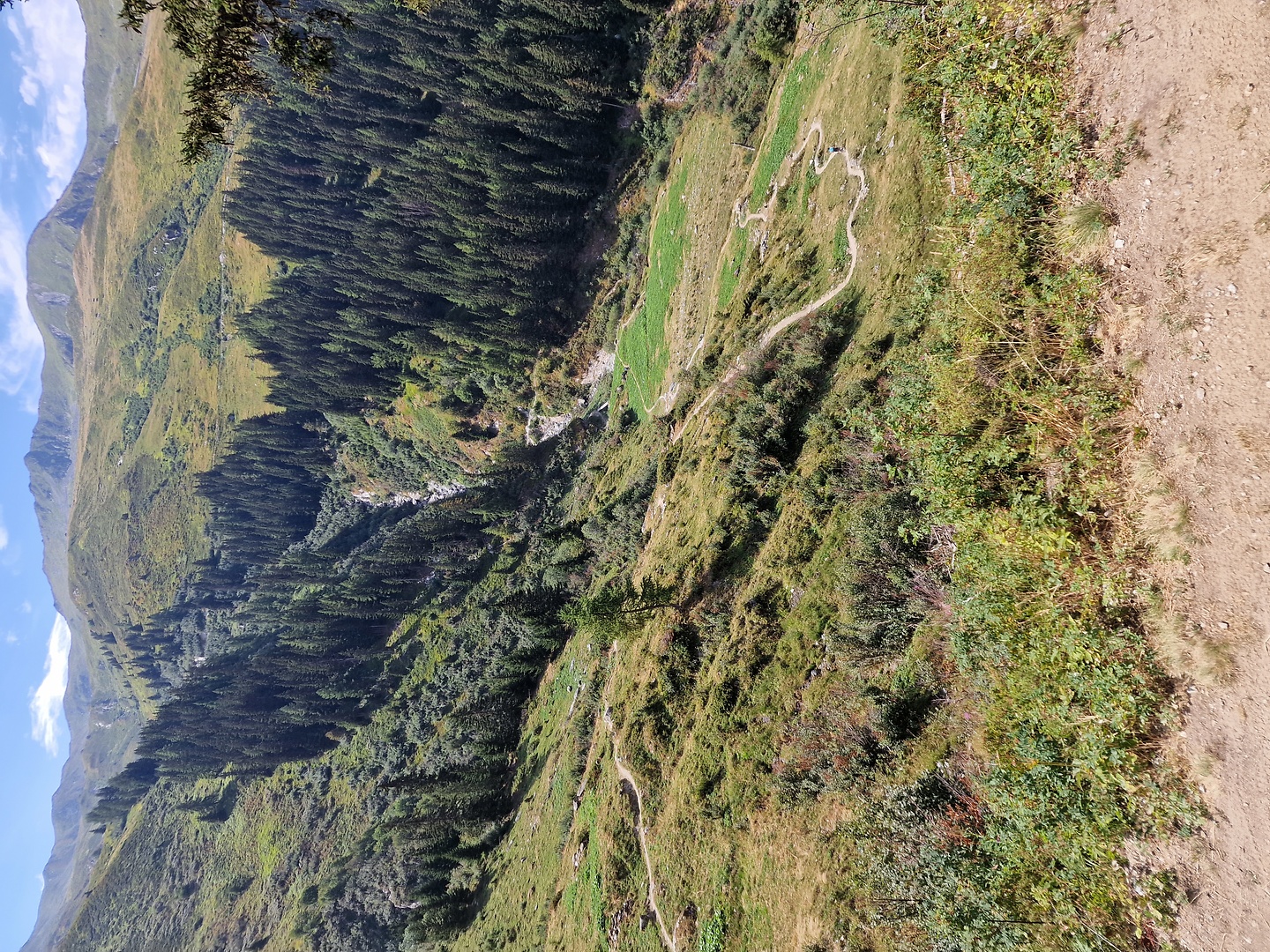 mille-trail11.jpg