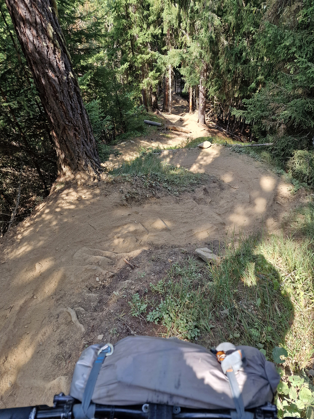 mille-trail13.jpg