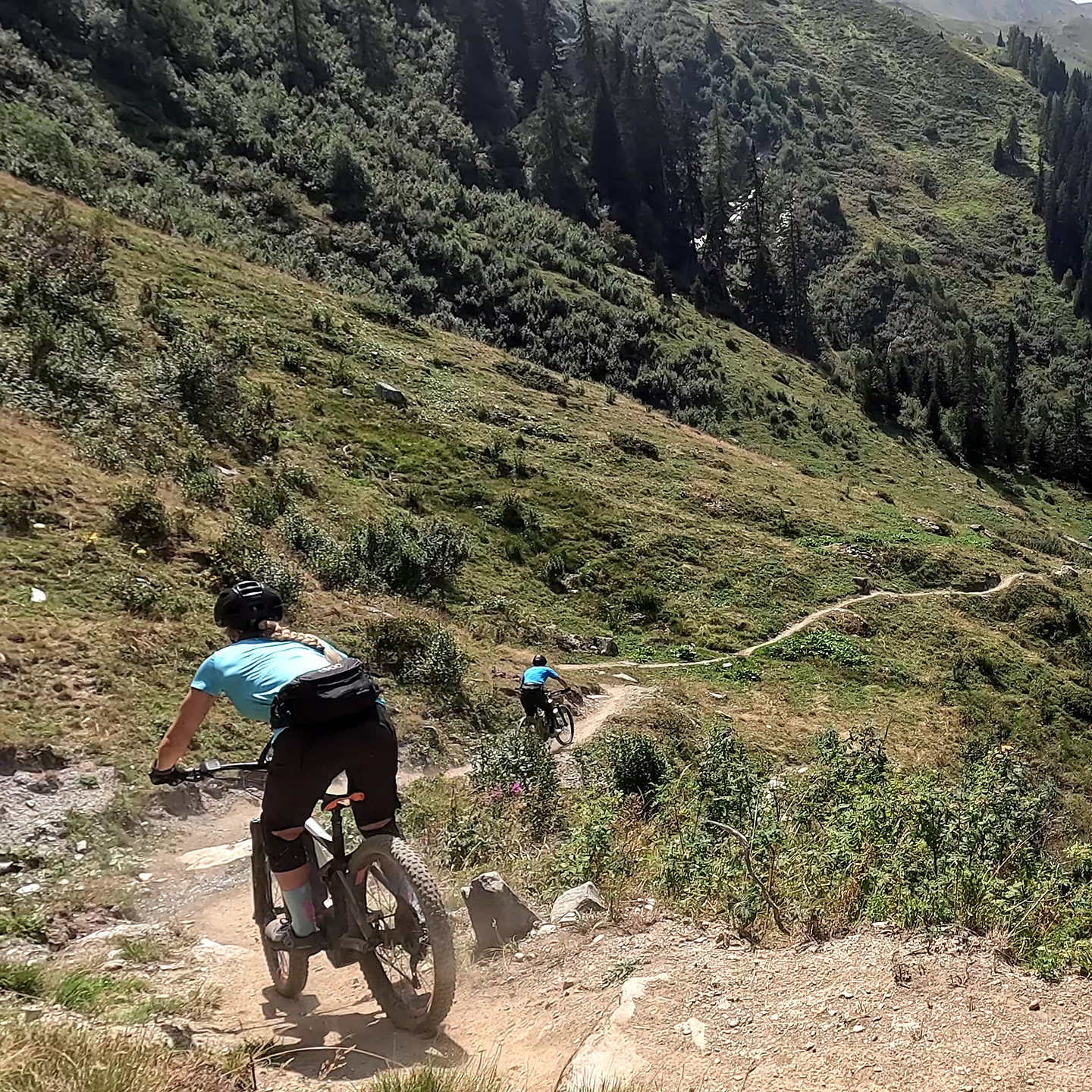 mille-trail9.jpg