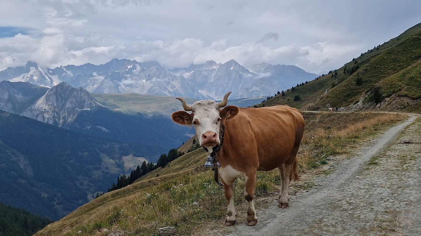 mille-uphill9.jpg