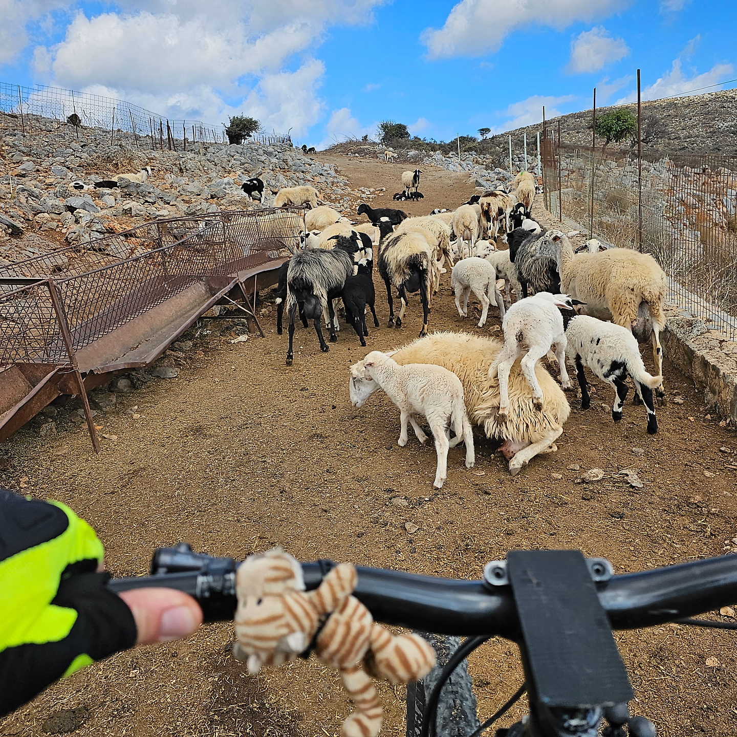 mochos-trail1.jpg