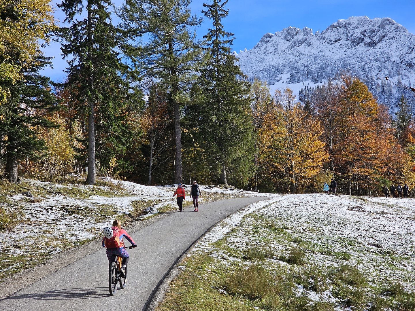 munich-orbea1.jpg