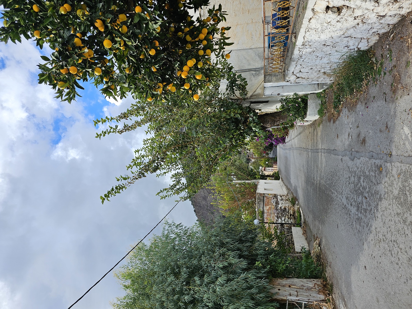 mythi-trail0.jpg