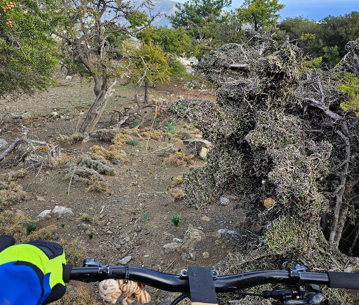 mythi-trail5.jpg