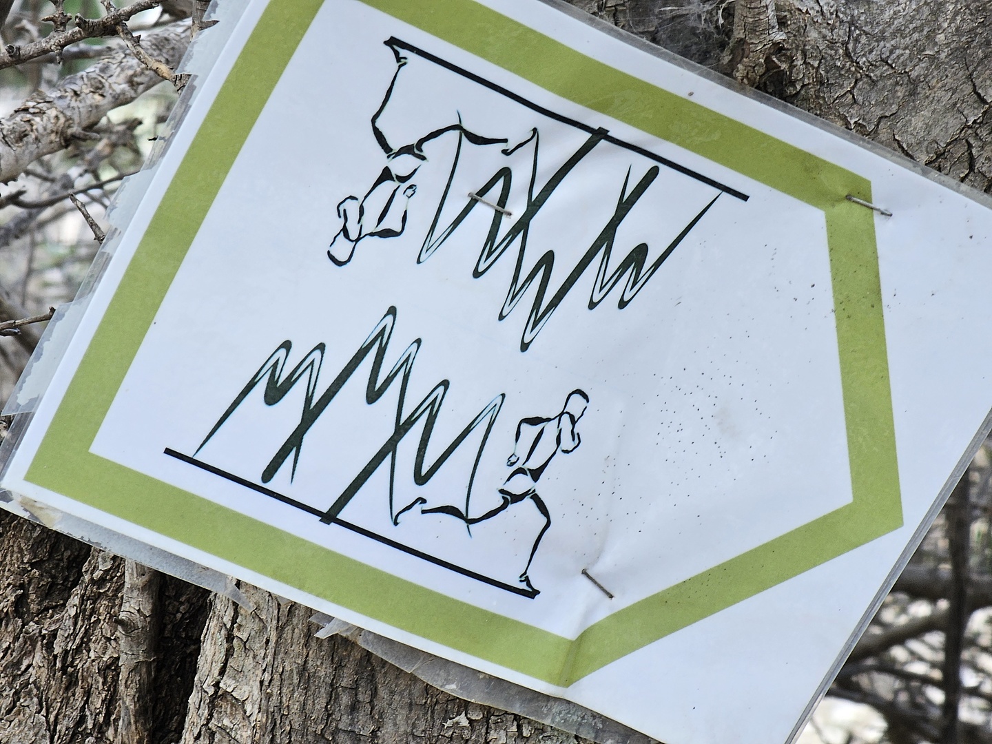 mythi-trail8.jpg