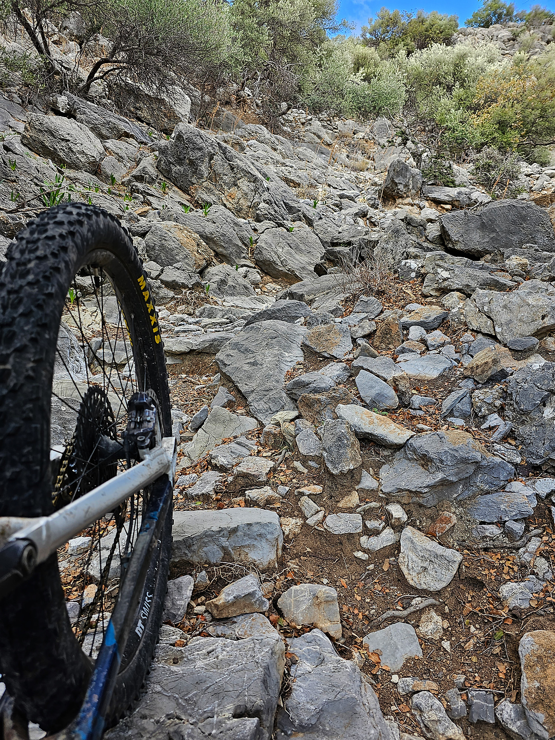mythi-trail9.jpg