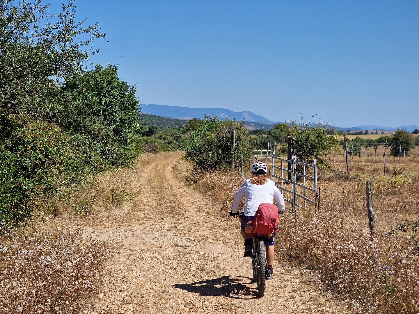 navacelles-road1.jpg