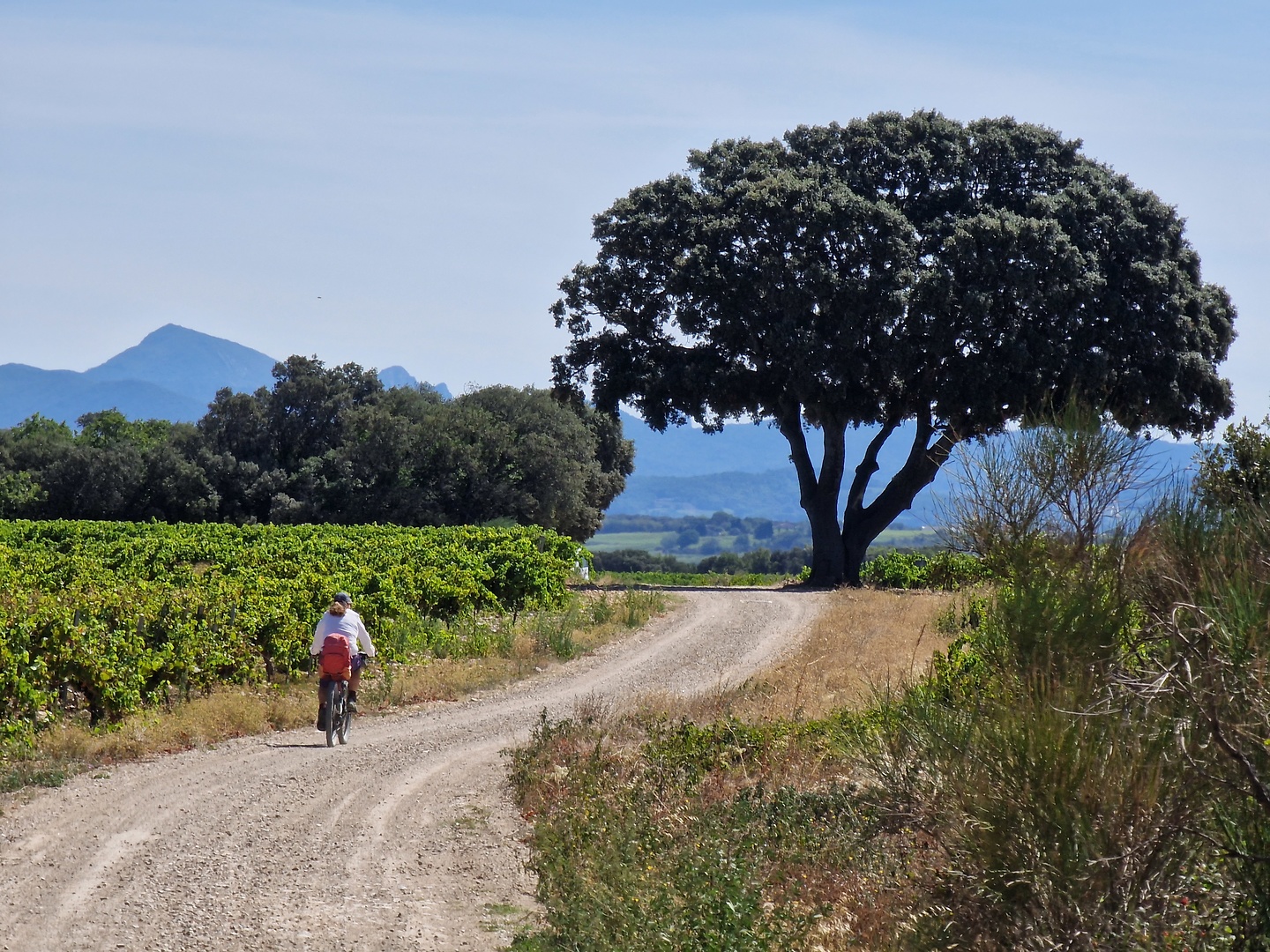 nyon-road4.jpg