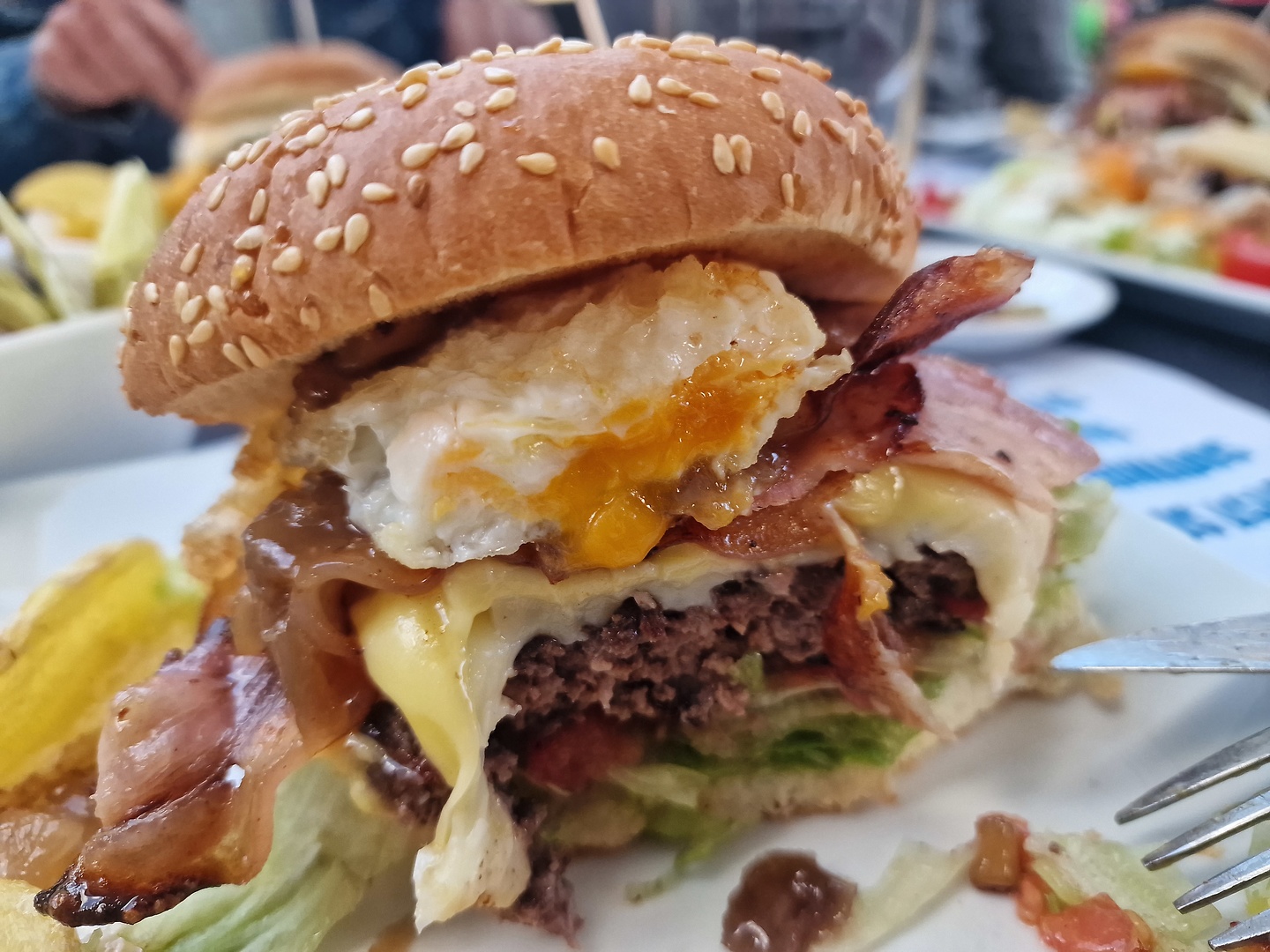 panticosa-burger.jpg