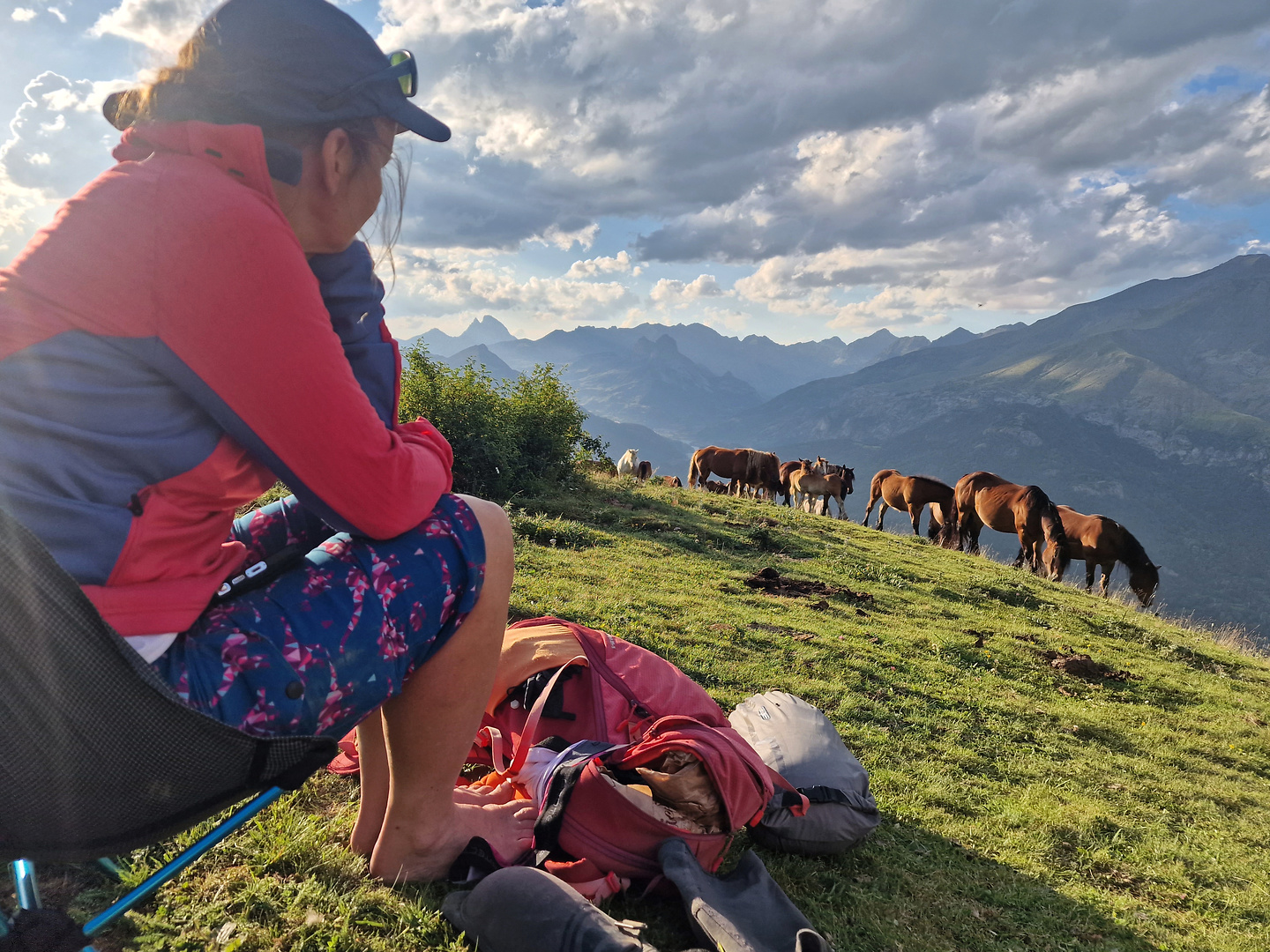 panticosa-horses2.jpg