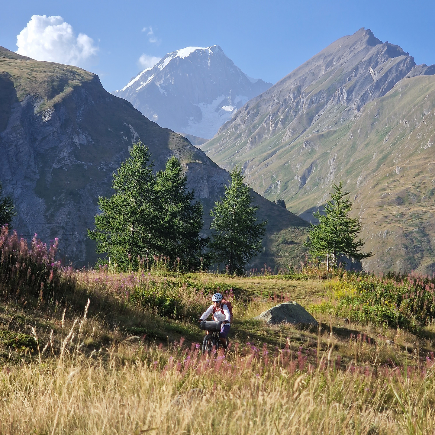 petitbernard-road3.jpg