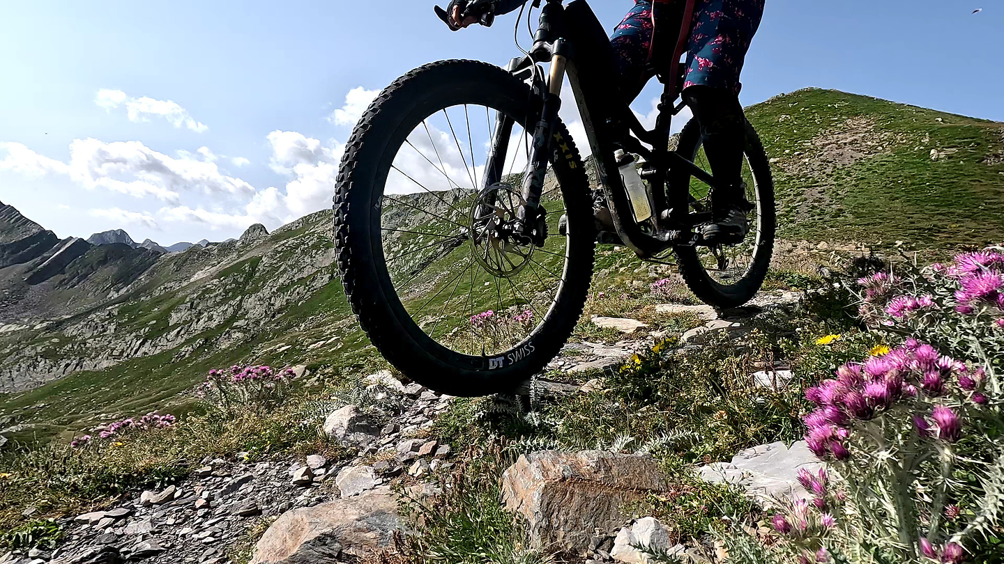 picada-trail3.jpg