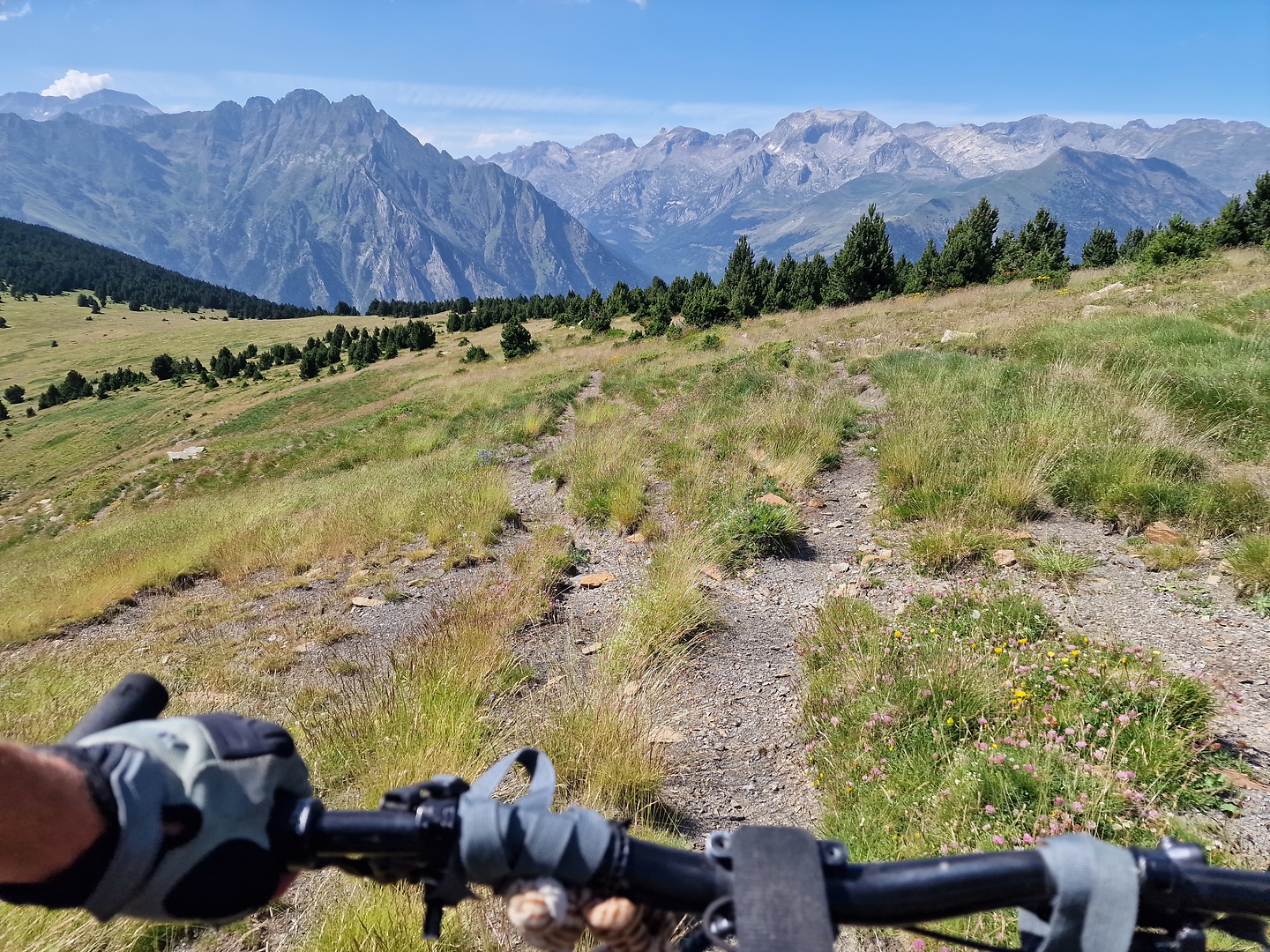 picalbo-trail2.jpg