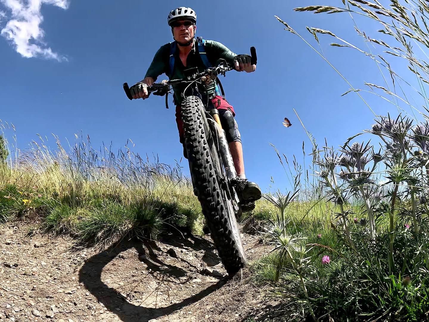 picalbo-trail4.jpg