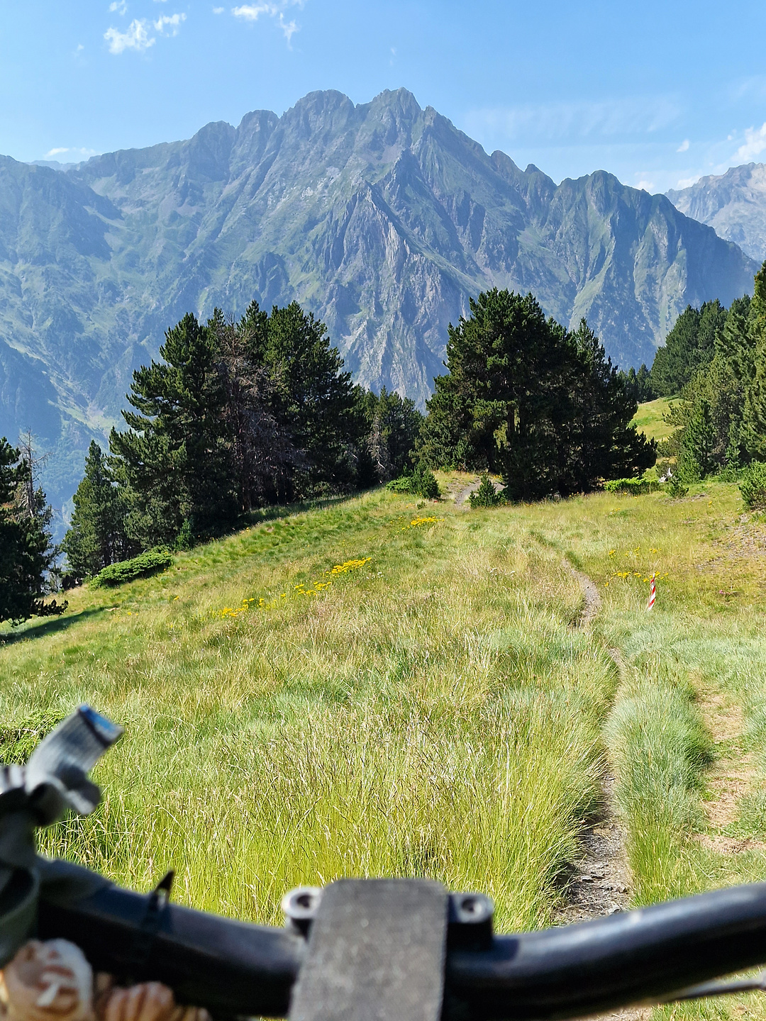 picalbo-trail6.jpg