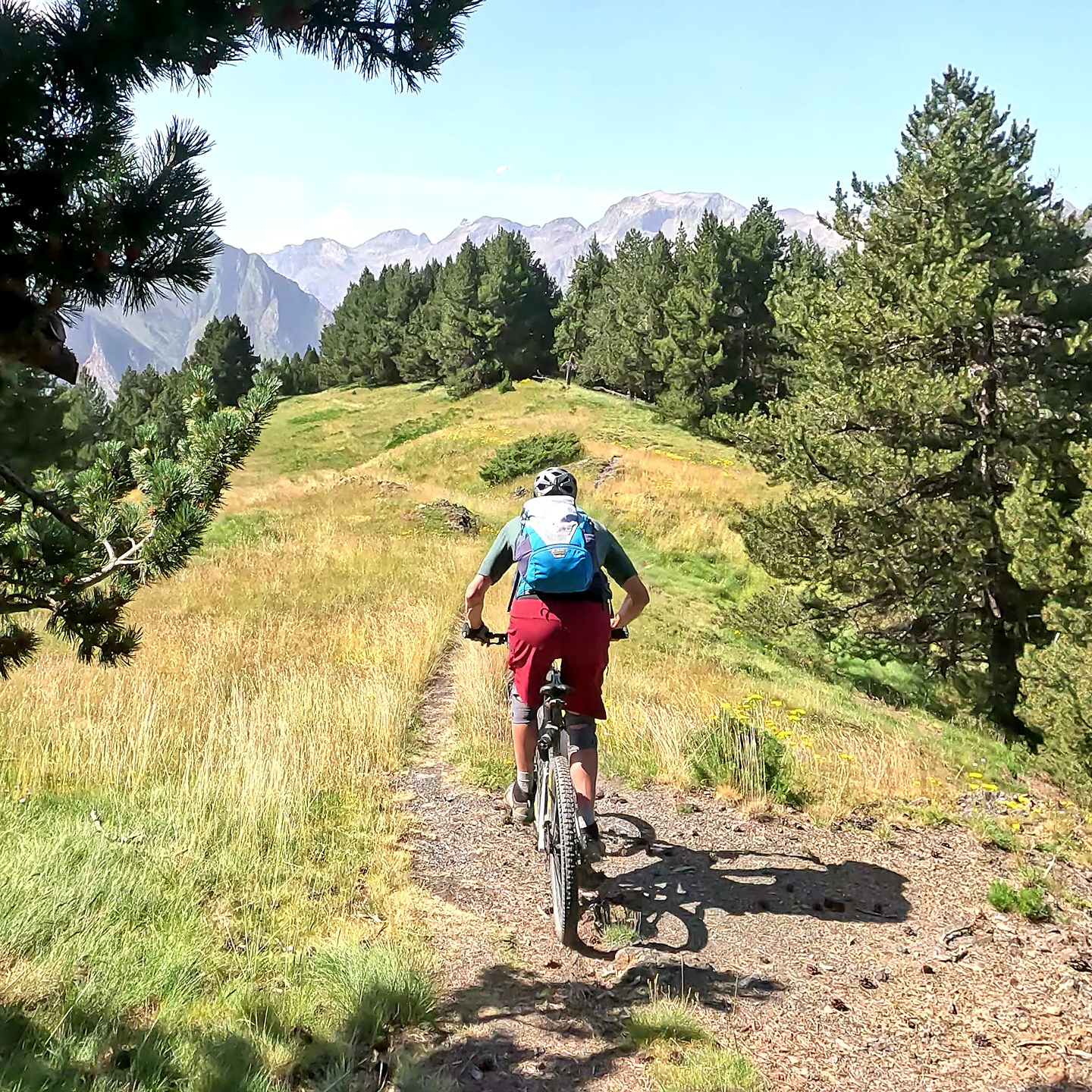 picalbo-trail7.jpg