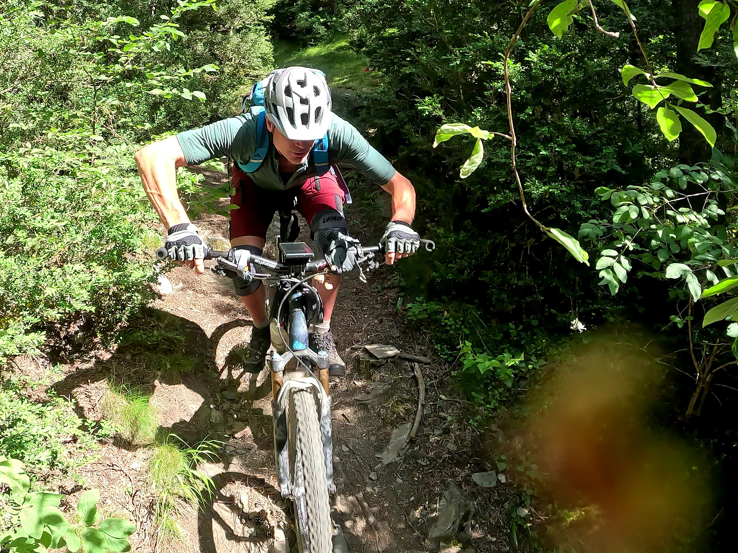 picalbo-trail8.jpg