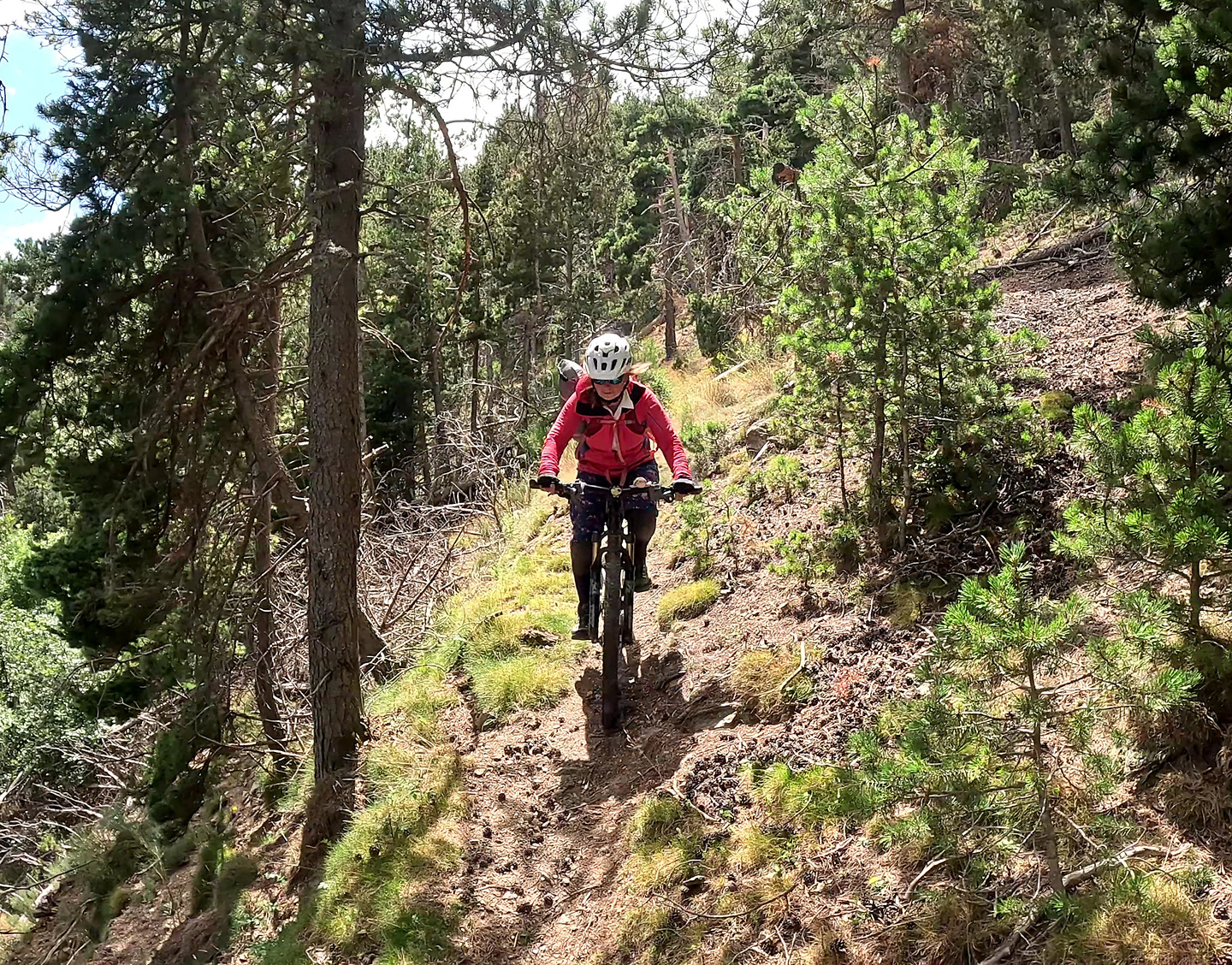 planoles-trail6.jpg