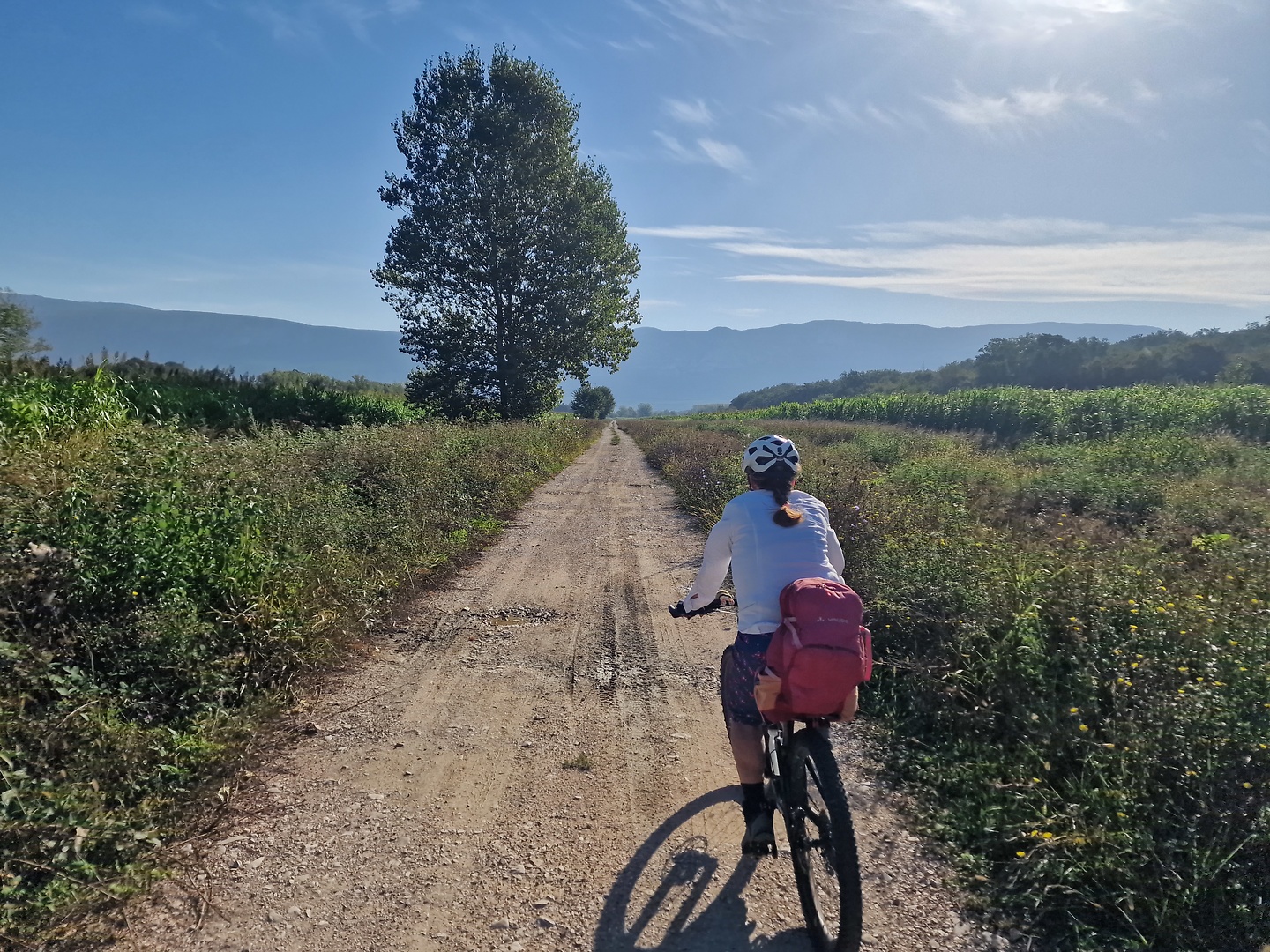 plomin-road1.jpg