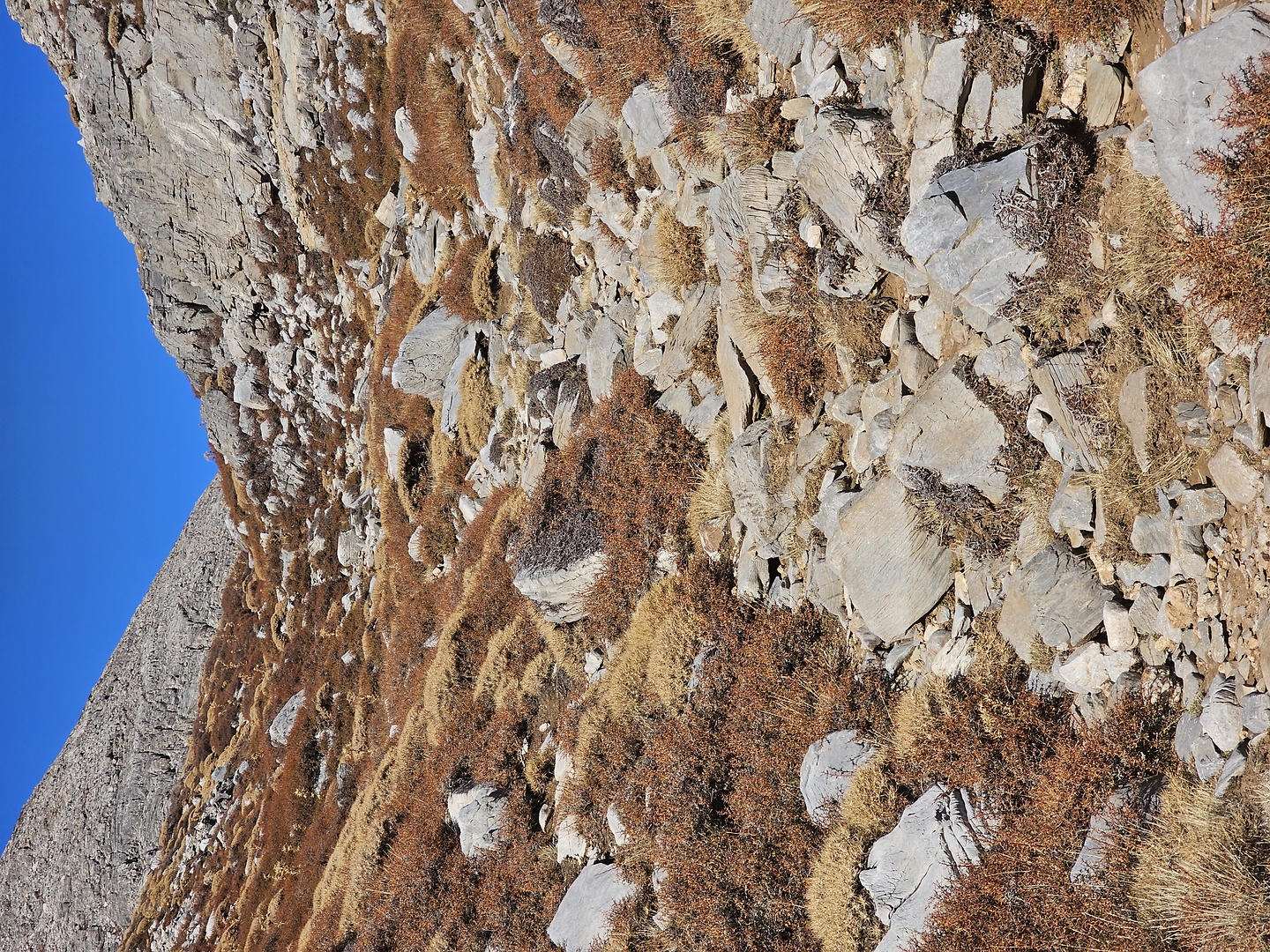 psiloritis-trail10.jpg