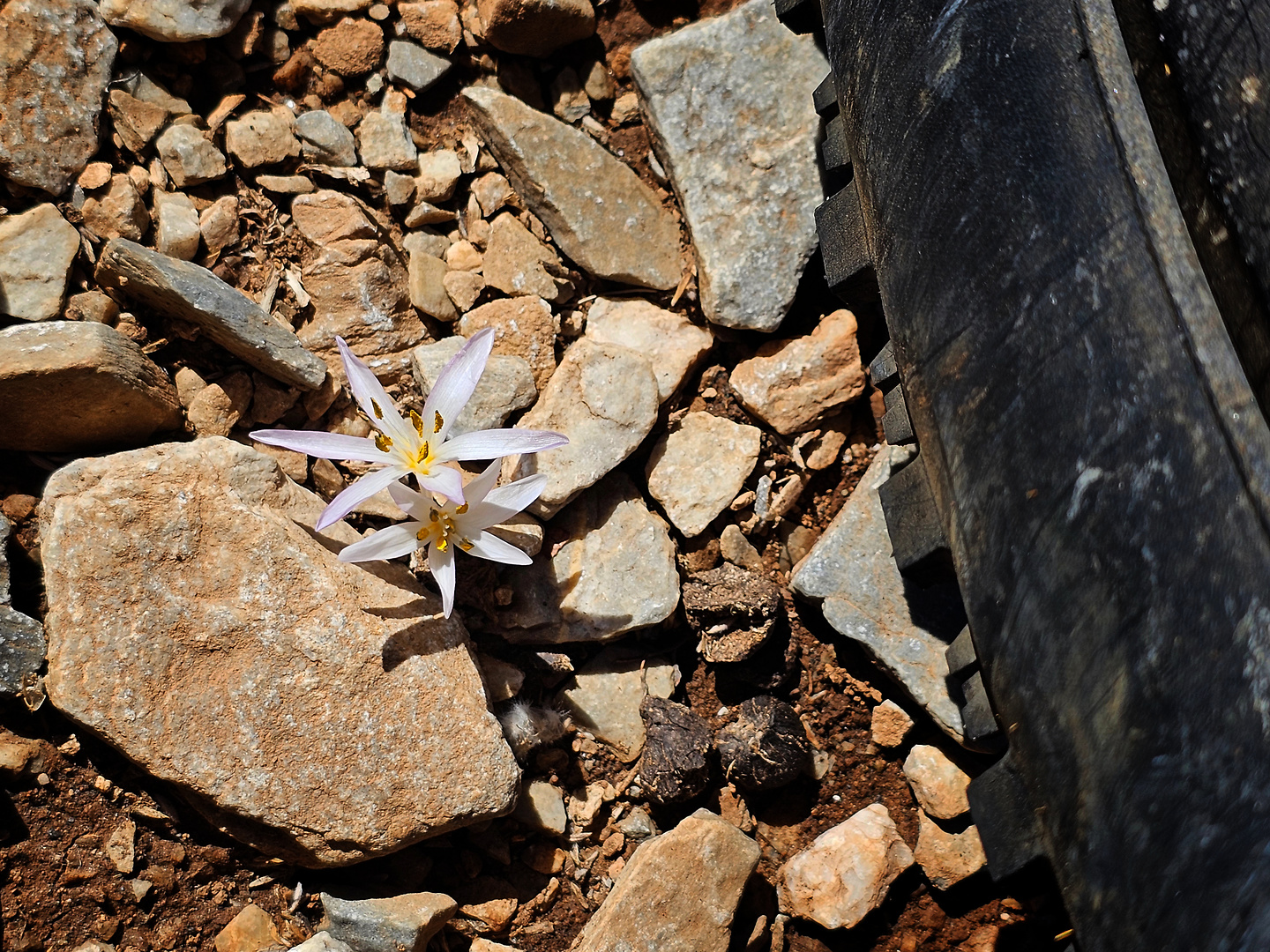 psiloritis-trail13.jpg