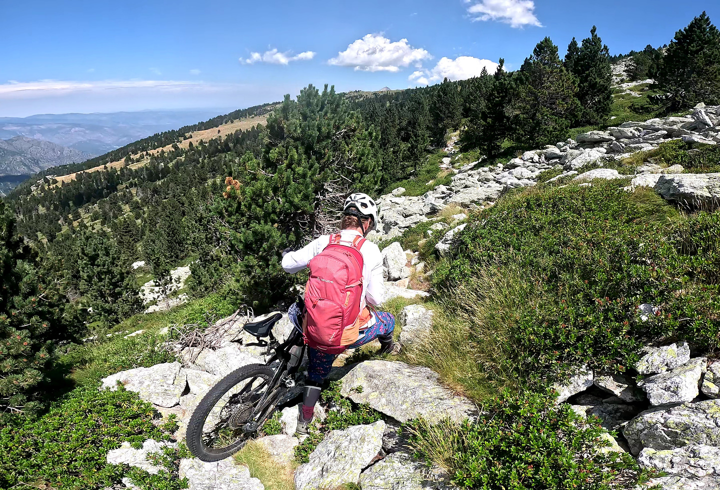 rotja-trail9.jpg