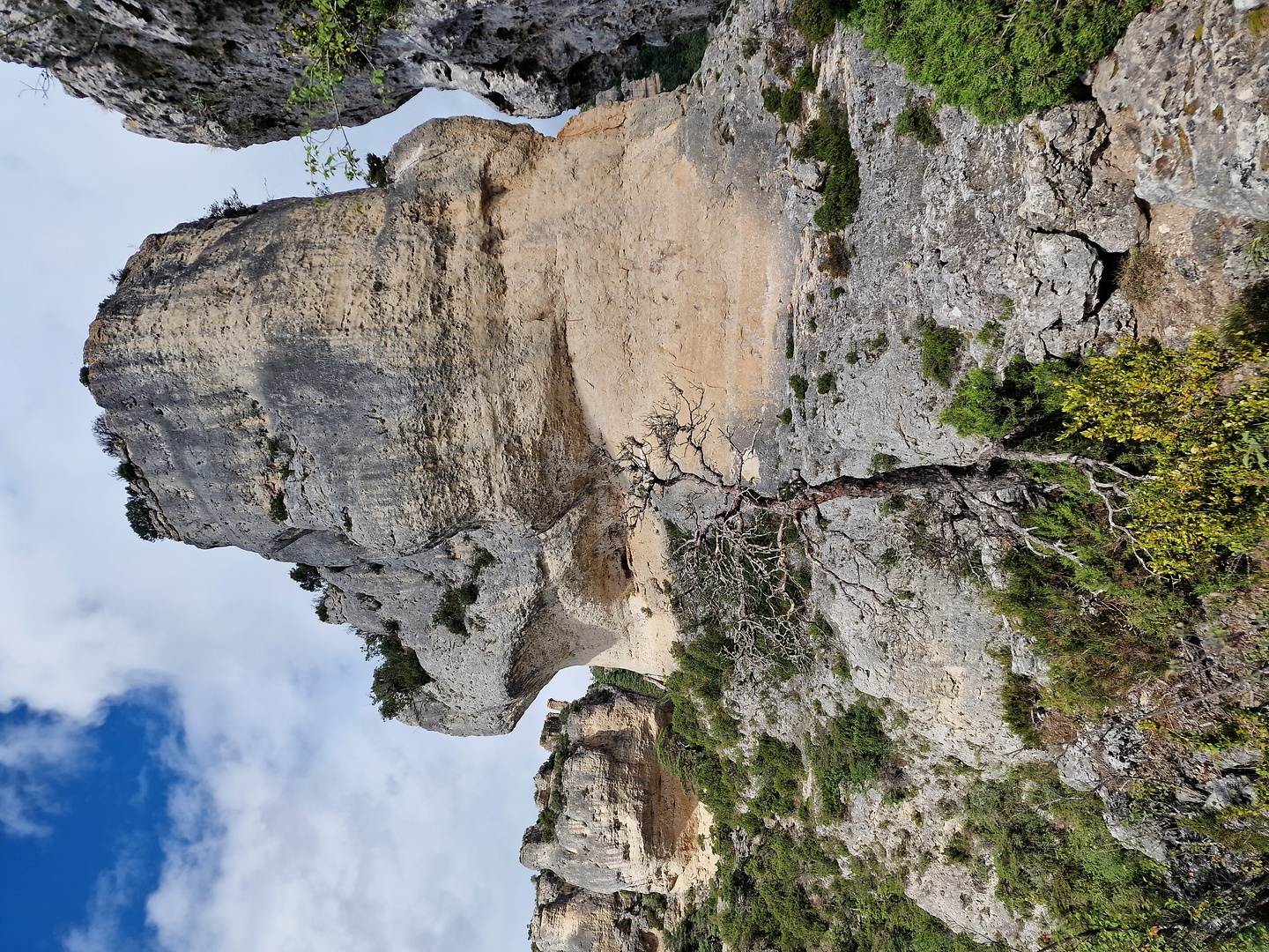 rozier-hike12.jpg