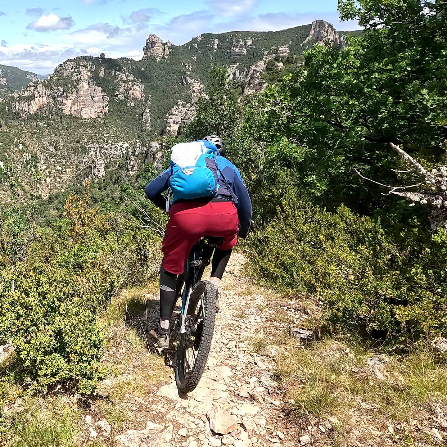 rozier-trail2.jpg