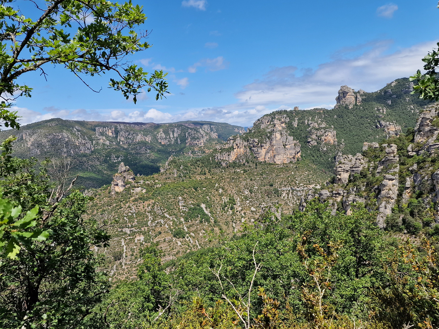 rozier-trail5.jpg