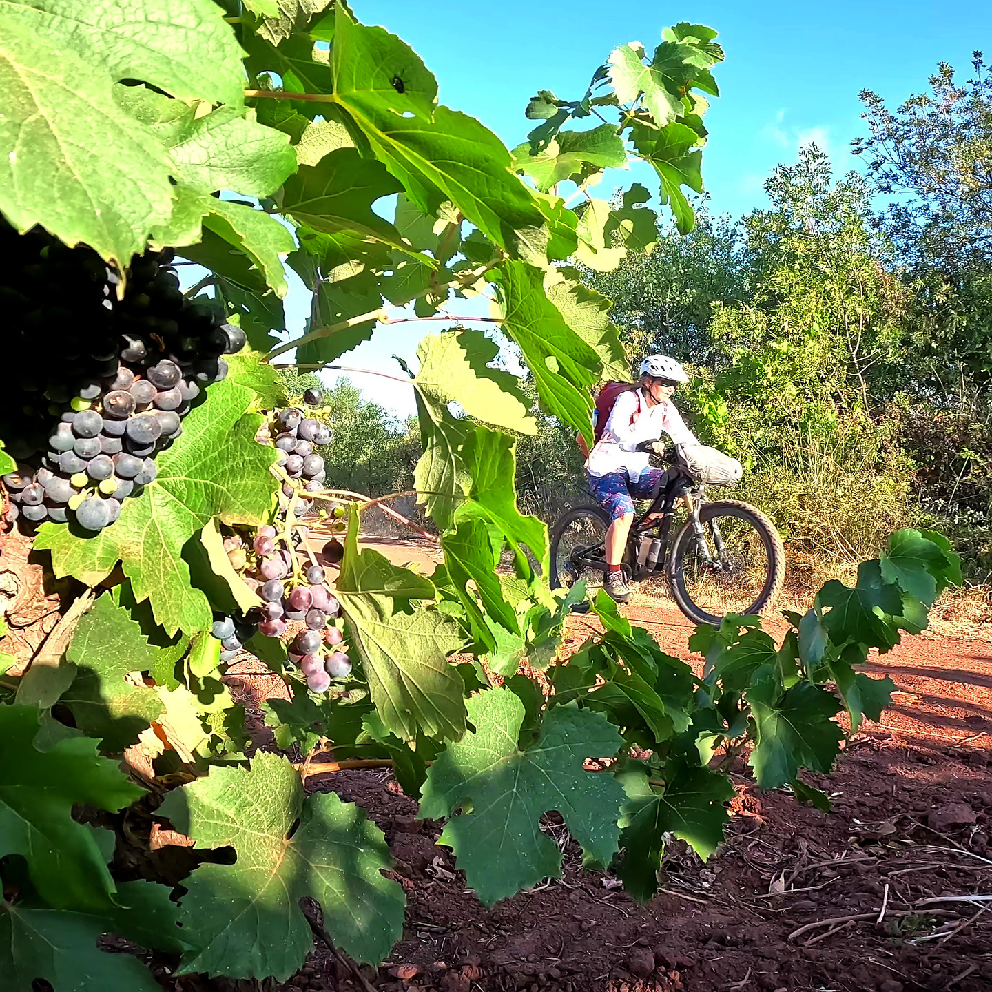 salagou-trail8.jpg