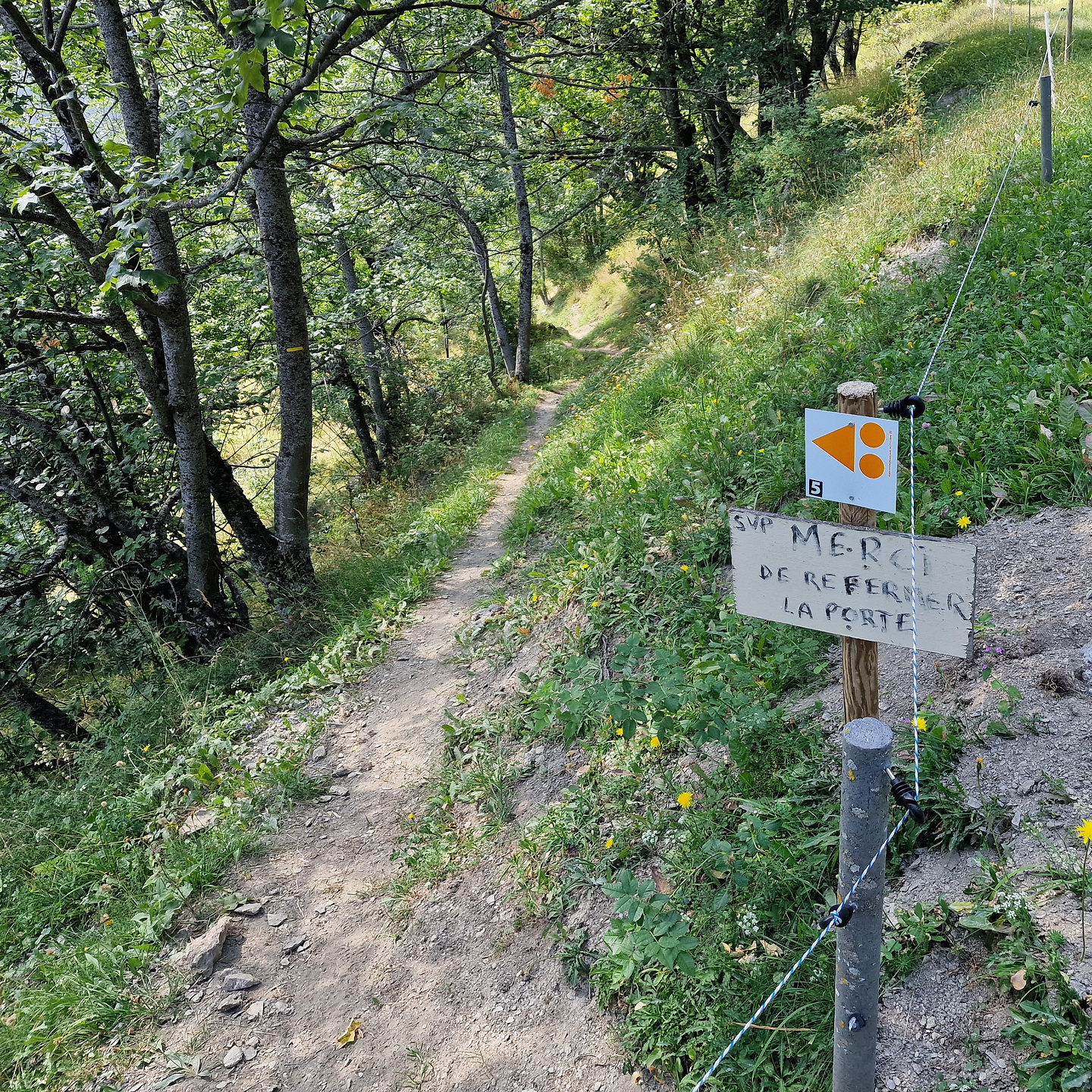 sarenne-trail6.jpg