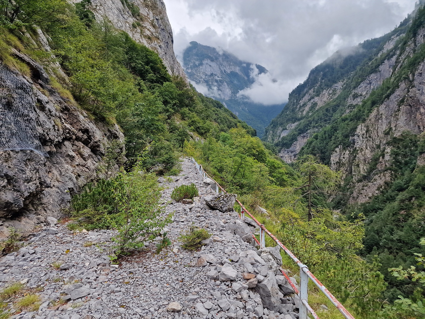 sauris-road8.jpg