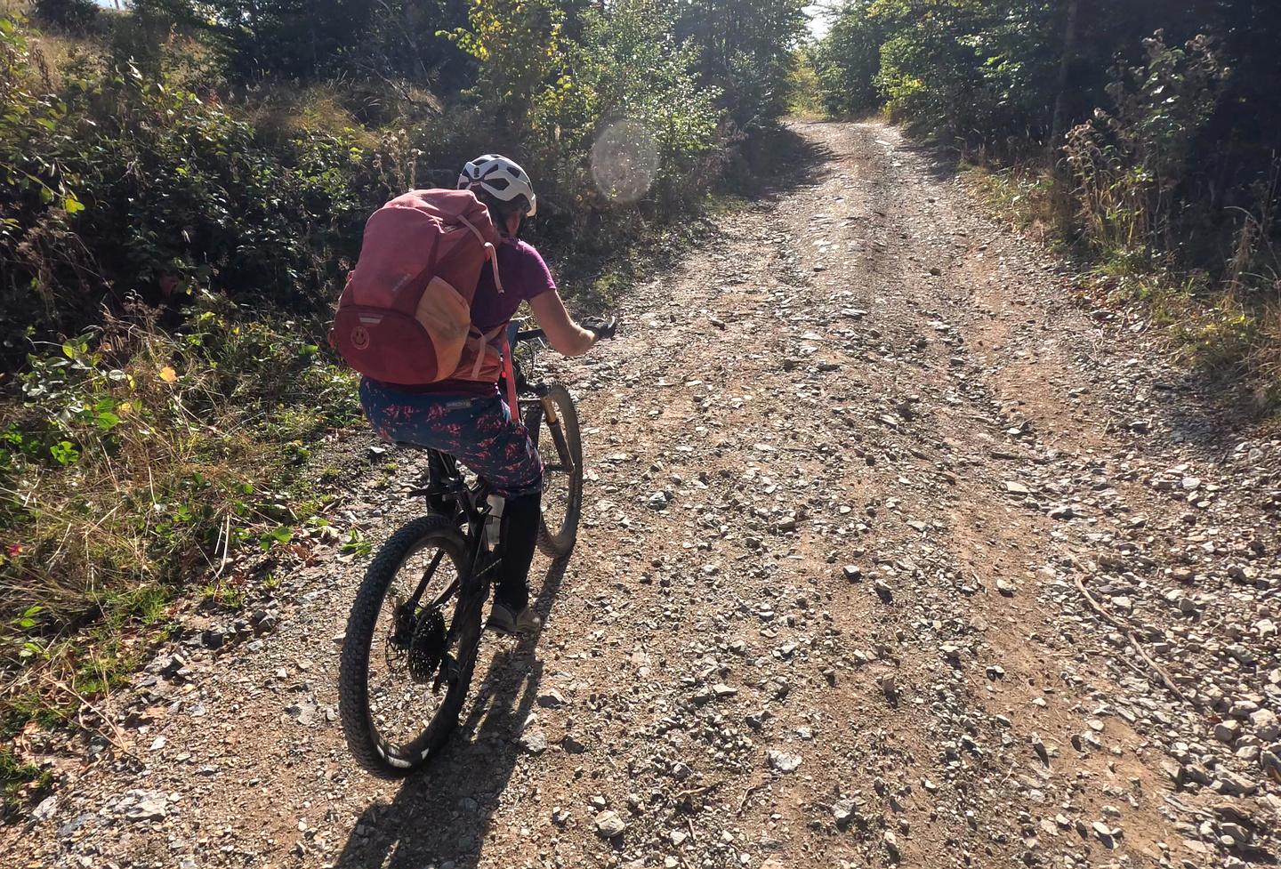 sisko-uphill3.jpg