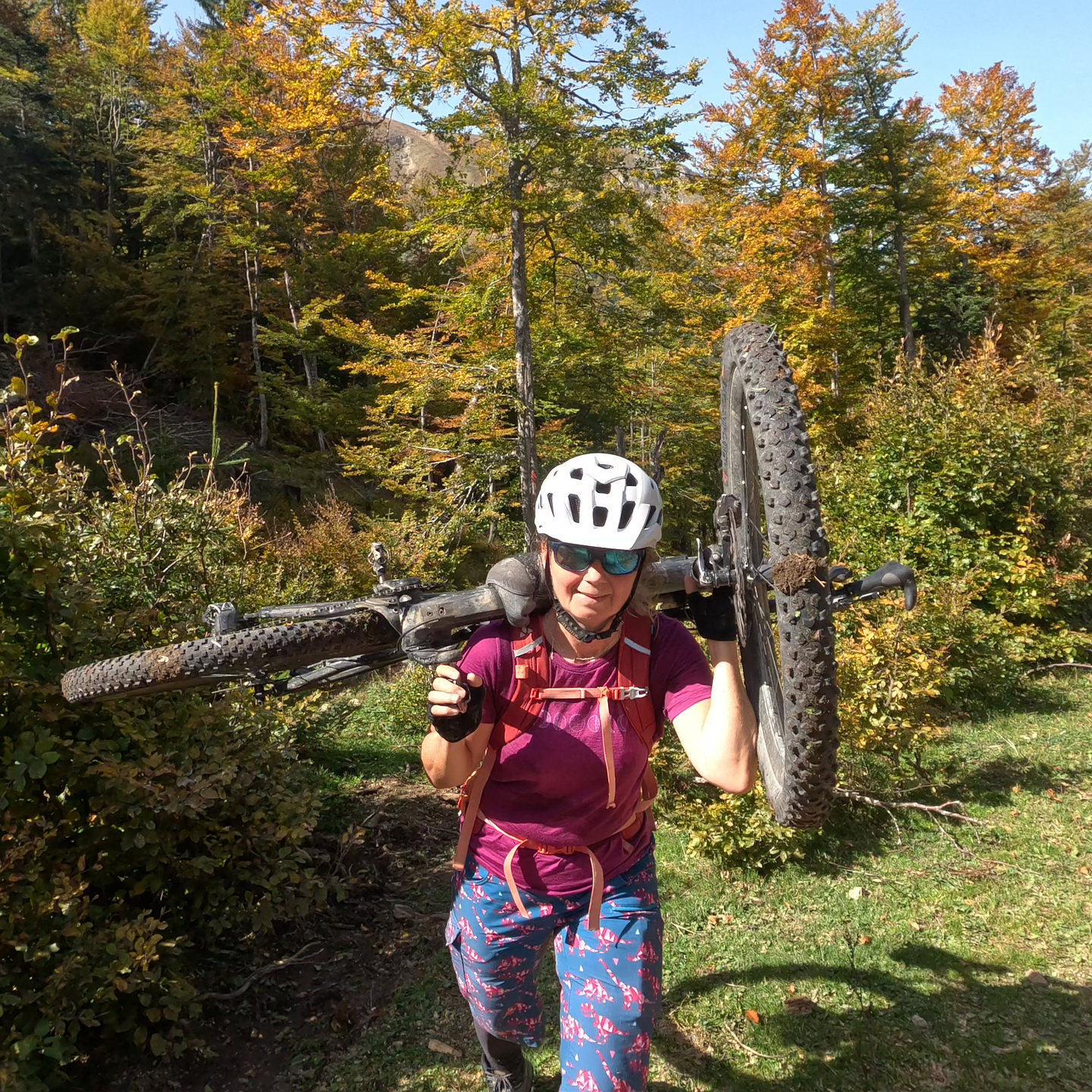 sisko-uphill8.jpg