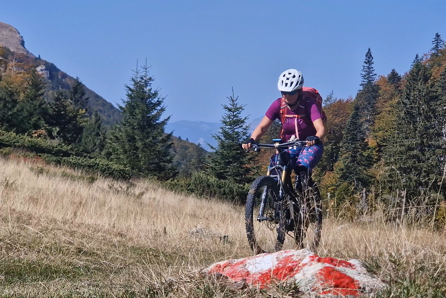 sisko-uphill9.jpg