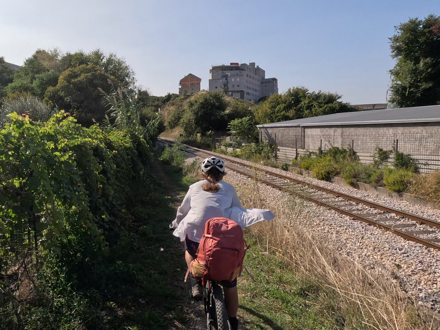 split-trail16.jpg