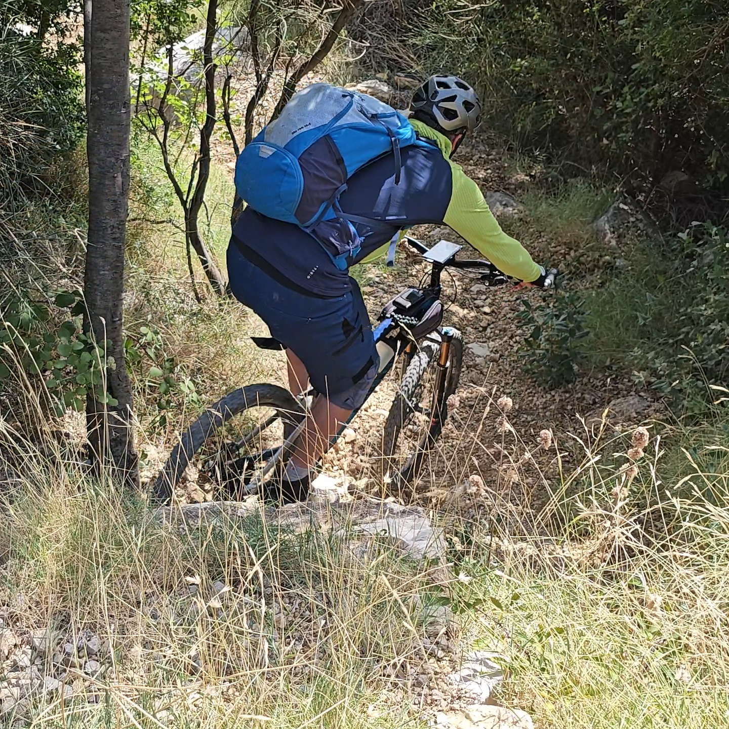 split-trail5.jpg