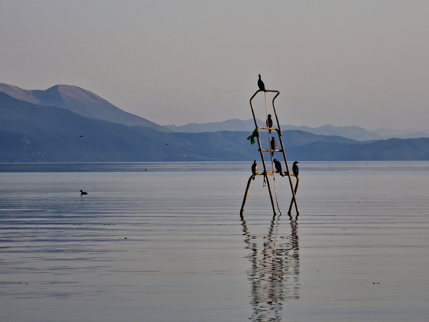 struga-town5.jpg